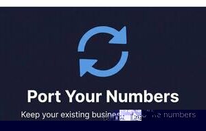 Port your existing phone numbers to TitanUC - keep your business numbers